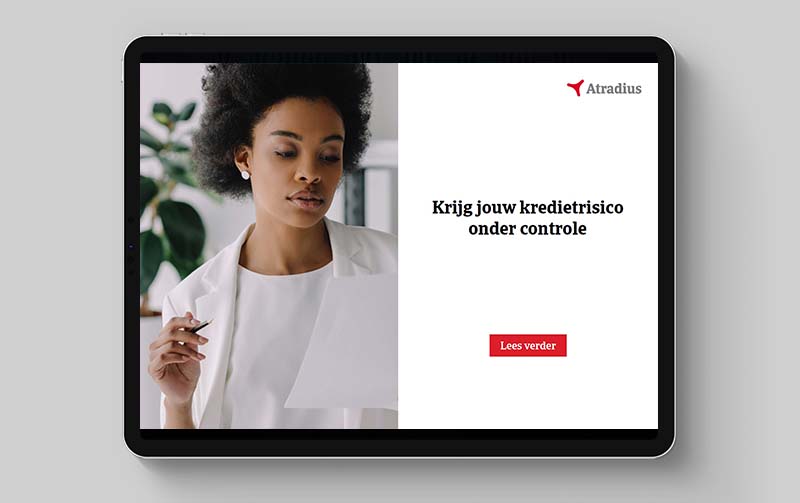 WP cover fill template kredietrisico onder controle