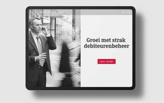 WP-debiteurenbeheer-grey