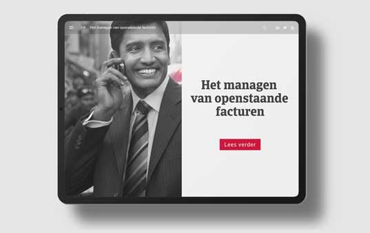 WP-managen-facturen-grey