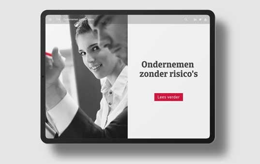 WP-ondernemen-risico-grey